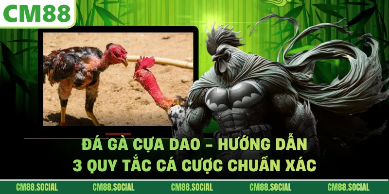 Đá Gà Cựa Dao - Hướng Dẫn 3 Quy Tắc Cá Cược Chuẩn Xác